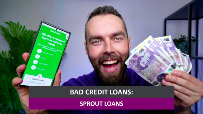 Sprout Loans Reviews