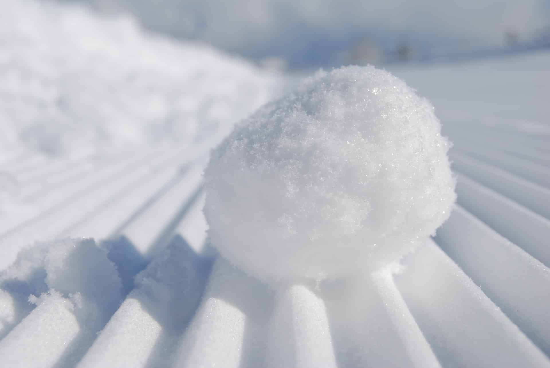 snowball payment